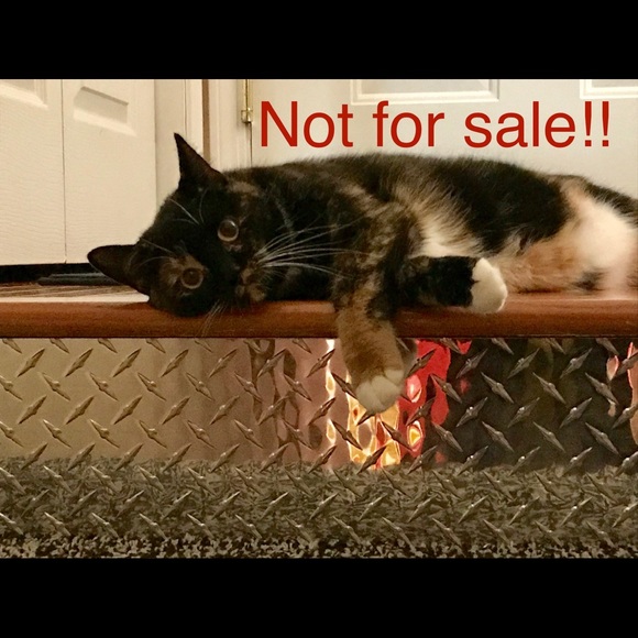 Not for sale!! - Picture 2 of 2